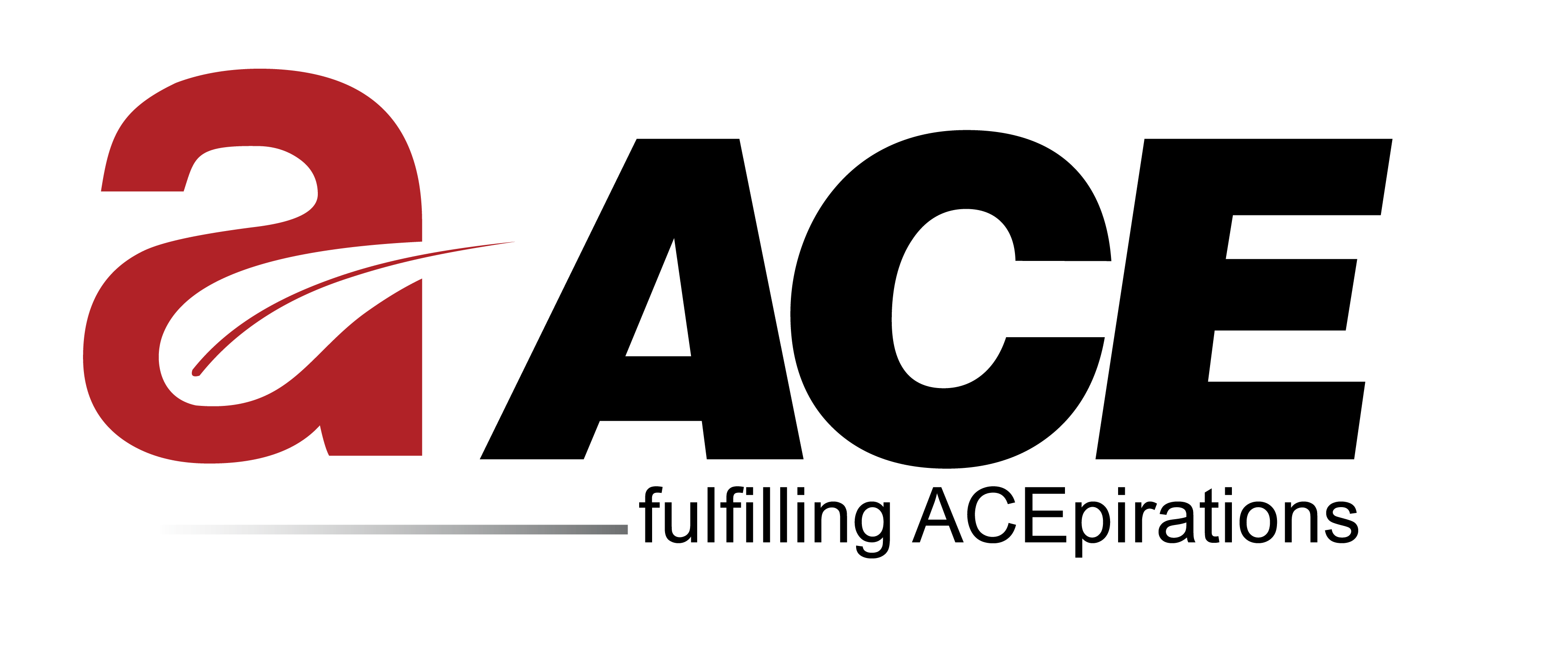 Ace group logo