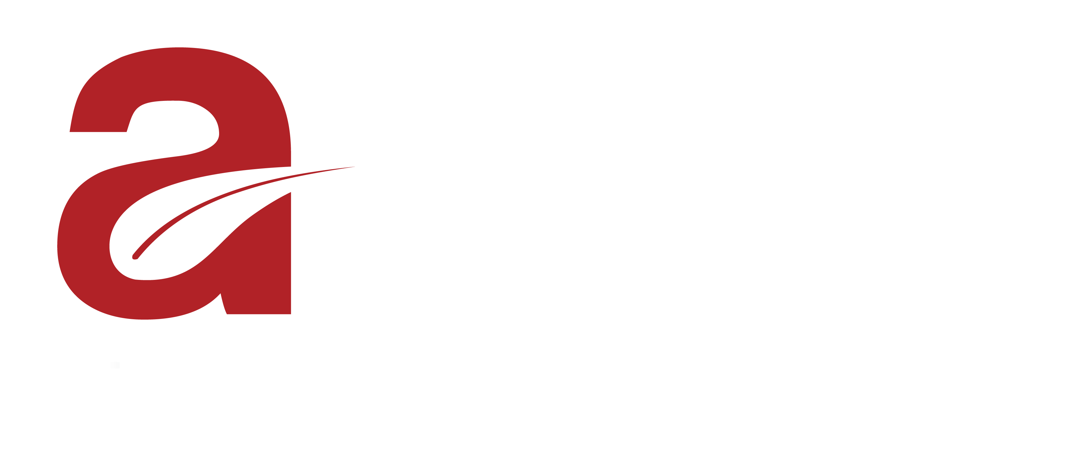 Ace Group Logo